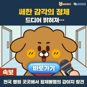 새로운 환자안전 캐릭터 소개 바로가기